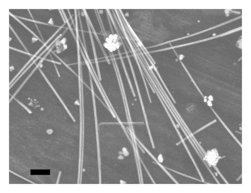Details are in the caption following the image