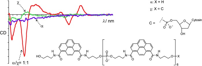 Amplification of Chirality by Supramolecular Polymerization of Pyrene Oligomers