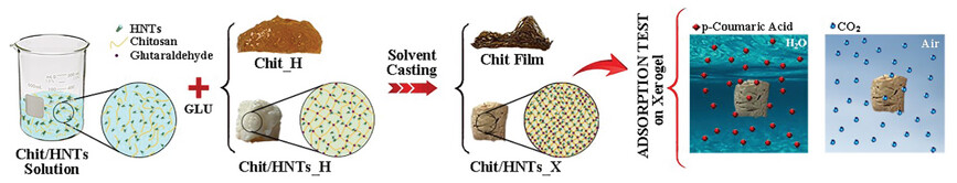Self-Standing Biohybrid Xerogels Incorporating Nanotubular Clays for Sustainable Removal of Pollutants