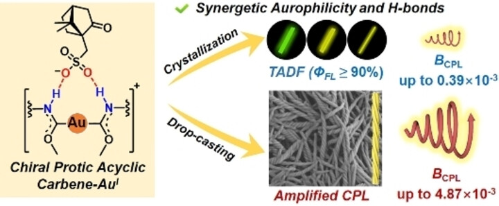 Solvation-Mediated Self-Assembly from Crystals to Helices of Protic Acyclic Carbene AuI-Enantiomers with Chirality Amplification