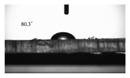Details are in the caption following the image