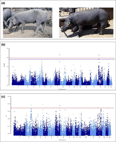 Details are in the caption following the image Details are in the caption following the image