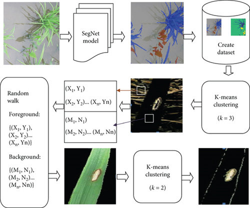 Details are in the caption following the image Details are in the caption following the image