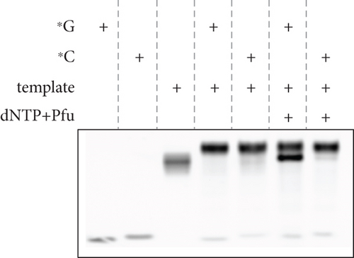 Details are in the caption following the image