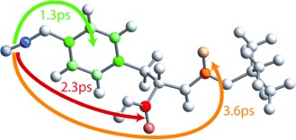 Ultrafast Hopping from Band to Band: Assigning Infrared Spectra based on Vibrational Energy Transfer