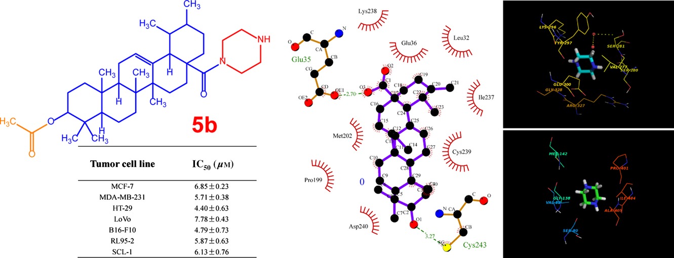 Synthesis and Biological Evaluation of Novel Ursolic acid Derivatives as Potential Anticancer Prodrugs