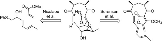 Total Syntheses of the Antibacterial Natural Product Abyssomicin C