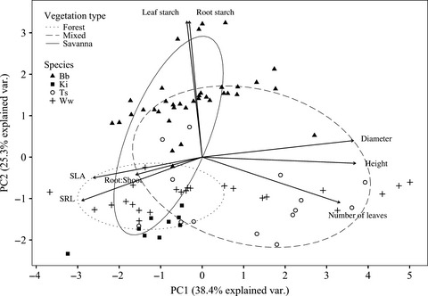Winners and losers: tropical forest tree seedling survival across a West African forest–savanna transition