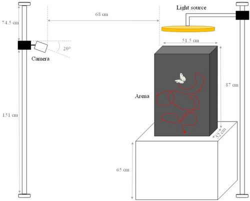 Details are in the caption following the image Details are in the caption following the image