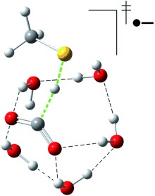 Selective Formic Acid Synthesis from Nanoscale Electrochemistry