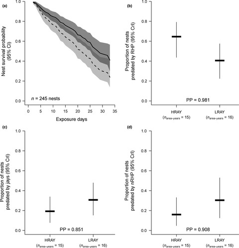 Numerical response of mammalian carnivores to rodents affects bird reproduction in temperate forests: A case of apparent competition?