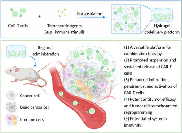 Delivering CAR-T cells into solid tumors via hydrogels