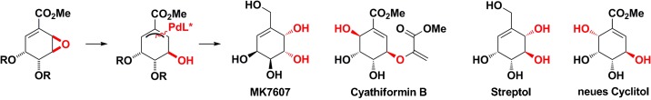 Regiodivergent Addition of Phenols to Allylic Oxides: Control of 1,2- and 1,4-Additions for Cyclitol Synthesis