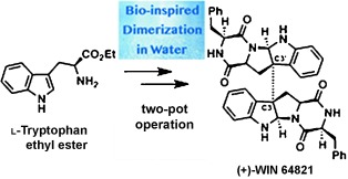 Bio-Inspired Dimerization Reaction of Tryptophan Derivatives in Aqueous Acidic Media: Three-Step Syntheses of (+)-WIN 64821, (−)-Ditryptophenaline, and (+)-Naseseazine B