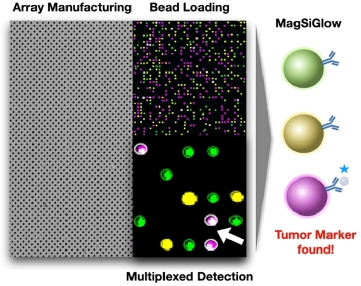 Magnetic Silica-Coated Fluorescent Microspheres (MagSiGlow) for Simultaneous Detection of Tumor-Associated Proteins