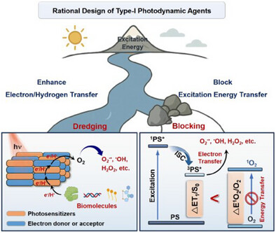 Rational Design of Type-I Photodynamic Agents