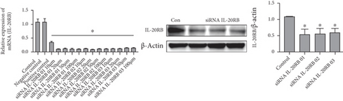 Details are in the caption following the image