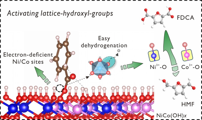 Ligand-Hybridization Activates Lattice-Hydroxyl-Groups of NiCo(OH)x Nanowires for Efficient Electrosynthesis