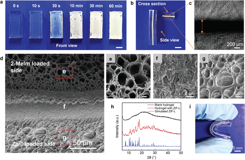 Details are in the caption following the image Details are in the caption following the image