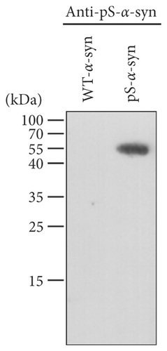 Details are in the caption following the image