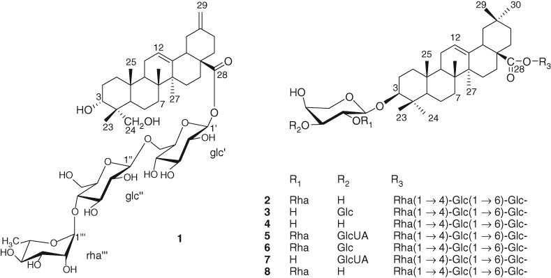 A New Triterpene Glycoside from the Stems of Akebia quinata