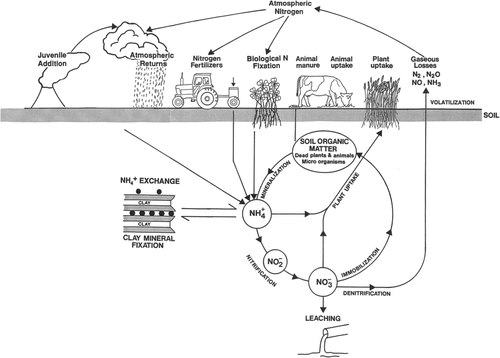 Details are in the caption following the image