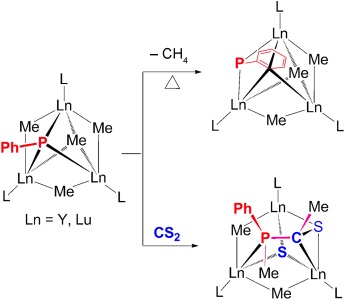 Homometallic Rare-Earth Metal Phosphinidene Clusters: Synthesis and Reactivity
