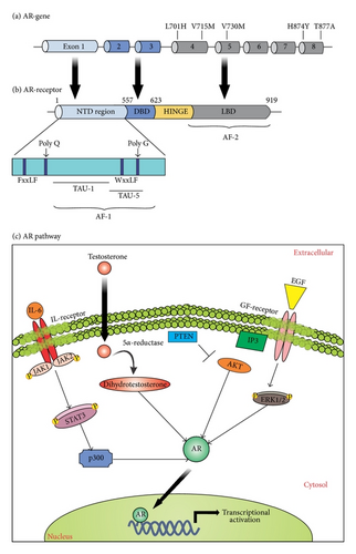 Details are in the caption following the image