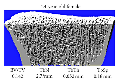 Details are in the caption following the image