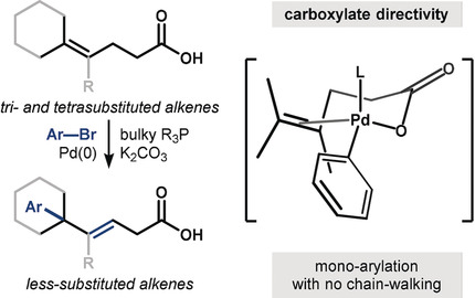 Intermolecular Heck Coupling with Hindered Alkenes Directed by Potassium Carboxylates