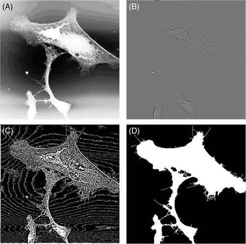 Details are in the caption following the image Details are in the caption following the image
