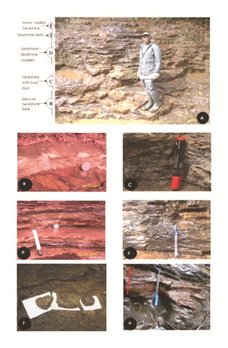 Details are in the caption following the image