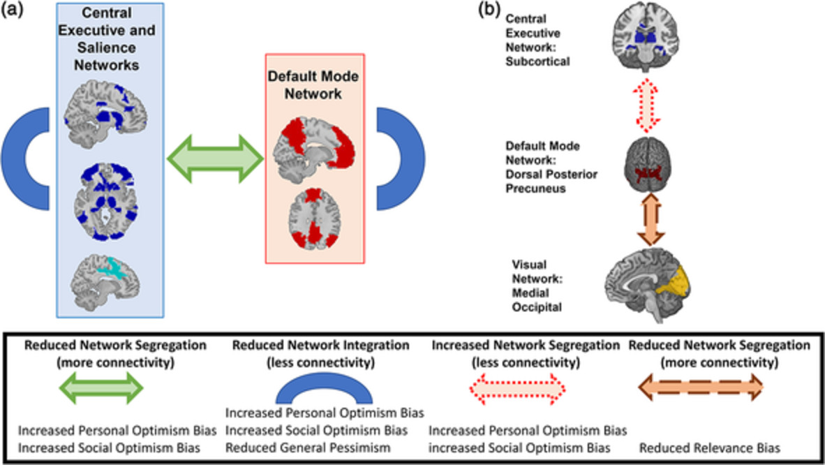 Reduced network integration in default mode and executive networks is associated with social and personal optimism biases
