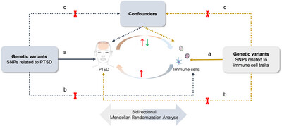 Causal Relationship Between Post-Traumatic Stress Disorder and Immune Cell Traits: A Mendelian Randomization Study
