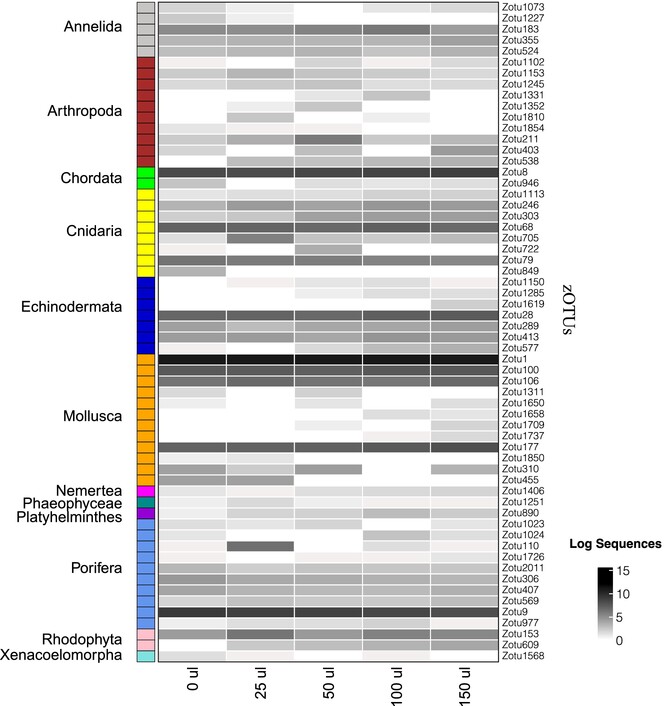 Proteinase K is not essential for marine eDNA metabarcoding