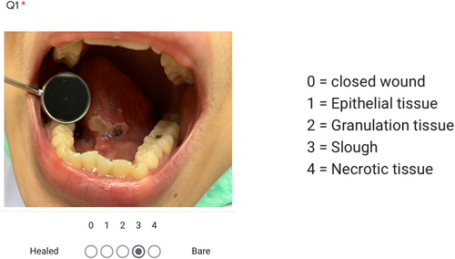 Details are in the caption following the image Details are in the caption following the image