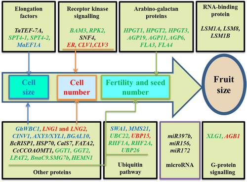 Details are in the caption following the image Details are in the caption following the image