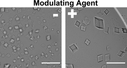 Modulating Self-Assembly of DNA Crystals with Rationally Designed Agents
