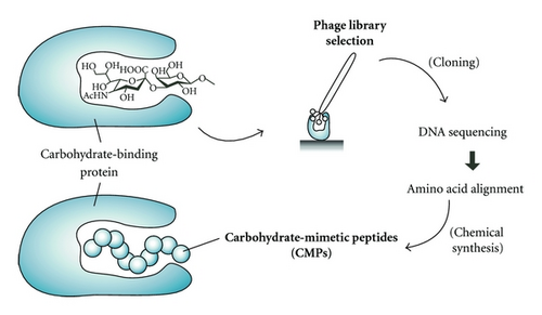 Details are in the caption following the image