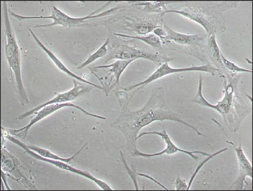 Details are in the caption following the image