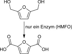 Enzyme-Catalyzed Oxidation of 5-Hydroxymethylfurfural to Furan-2,5-dicarboxylic Acid
