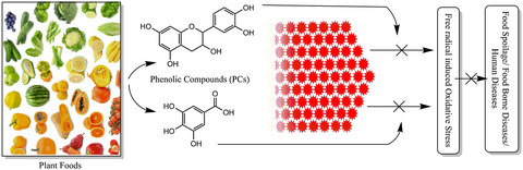 Concept, mechanism, and applications of phenolic antioxidants in foods Issue 9, 2020