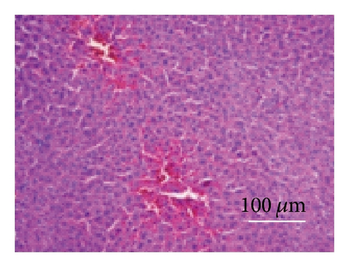 Details are in the caption following the image