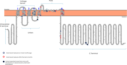 Details are in the caption following the image Details are in the caption following the image