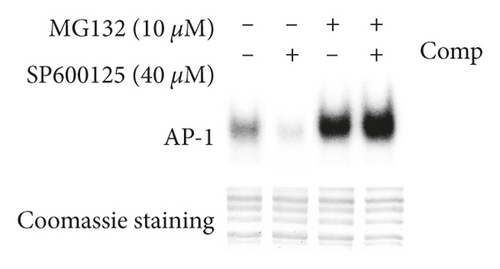 Details are in the caption following the image
