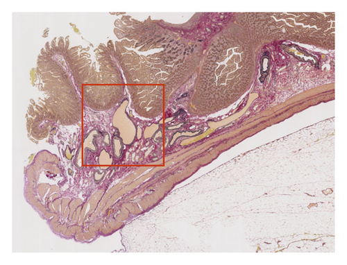 Details are in the caption following the image