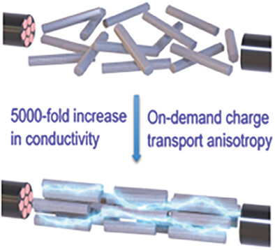 On-Demand Tunable Electrical Conductance Anisotropy in a MOF-Polymer Composite