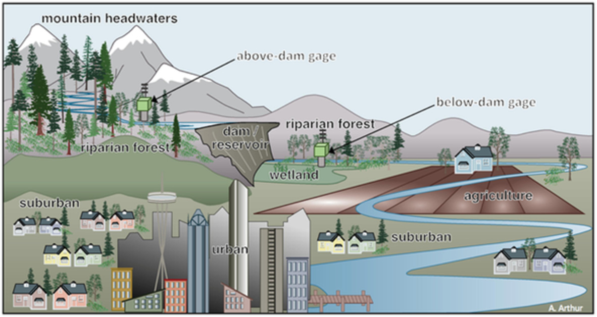 River management response to multi-decade changes in timing of reservoir inflows, Columbia River Basin, USA