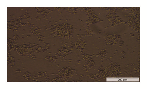 Details are in the caption following the image