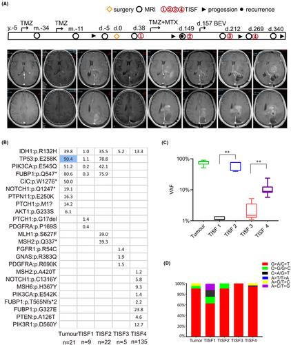 Details are in the caption following the image Details are in the caption following the image